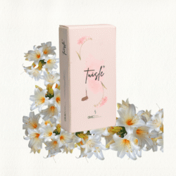 TUISLE - GINGERLILY BAMBOOLESS INCENSE