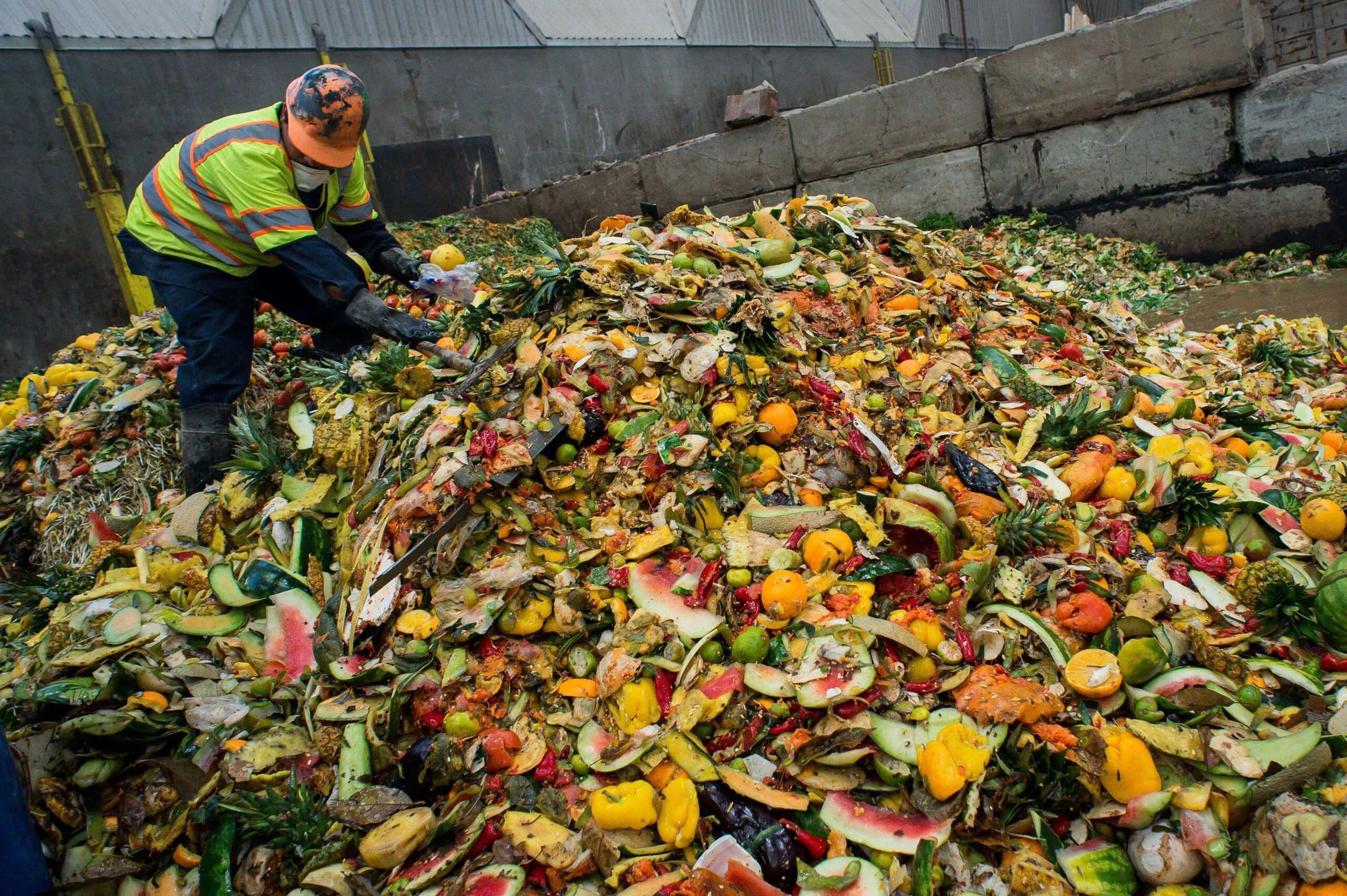 What Happens to Food Waste When It Goes to a Landfill?