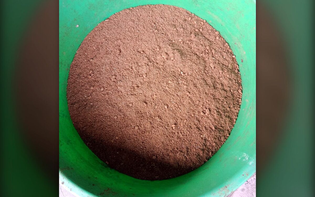 Dark brown granular output from a TGMC composter collected in a green tub