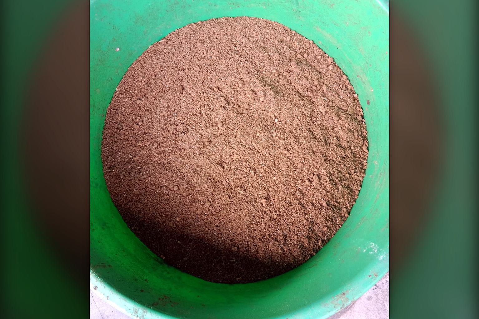 Dark brown granular output from a TGMC composter collected in a green tub